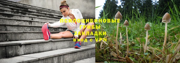 apvp Гусиноозёрск