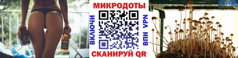 Псилоцибиновые грибы прущие грибы  Приморск 
